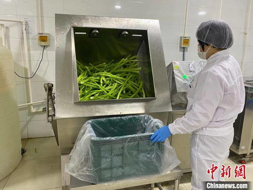 河北淶水土貨“統(tǒng)購(gòu)統(tǒng)銷”進(jìn)京生金，清潔服務(wù)煥新鄉(xiāng)村經(jīng)濟(jì)